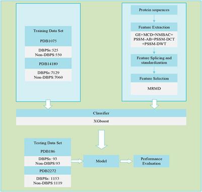 Identify DNA-Binding Proteins Through the Extreme Gradient Boosting Algorithm